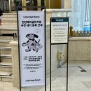 부산 서면 런던베이글뮤지엄 평일 오픈런 후기