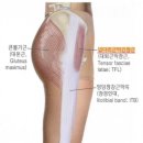 드래곤 파라다이스 짐 이미지