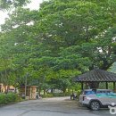 메타세쿼이어길 화장실 이미지