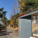 대전송촌초교 이미지