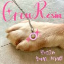 우진펫 | [부산/전포] 소중한 반려동물의 흔적, 크로우레진💝 | 펫 메모리 주얼리 | 이색 원데이 클래스 후기