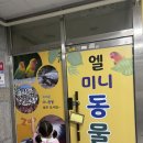 엘 미니동물원 네이버블로그