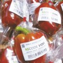 엔에스코리아 이미지