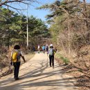 곡성-020 이미지