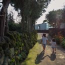 다복민박 이미지