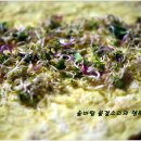 웰빙김밥 Daum카페