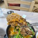 시골다슬기 | [영월] 아침식사 가능한 로컬 맛집_양 푸짐한 뼈해장국·다슬기해장국 솔직 후기