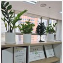 미래세무회계 이미지