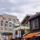 (원데이) 그린 플랜트 이미지