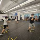 리얼복싱짐 이미지