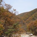 주막거리추어탕 이미지