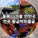 황금슈퍼 | 강원도 동해시 가볼 만한 곳, 천곡황금 박쥐동굴 다녀온 후기! (주차장, 입장료)