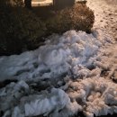 영은유치원 | 수능이 끝나고부터 지금까지