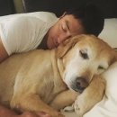 차홍농장 이미지