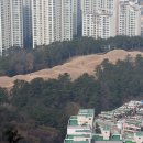 연산동고분군 이미지