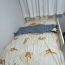 동산세탁 | 엘래나하임_예민한 아이 피부에도 안심! 엘레나하임 '나무늘보 동산' 키즈 침구 풀세트 리얼 후기 🦥✨