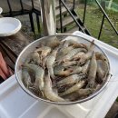 강노을펜션 이미지