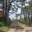 가래칠기 이미지