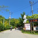 치유의 숲 주차장 화장실 이미지