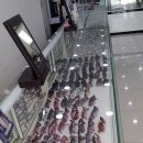 안경닥터 보청기 이미지