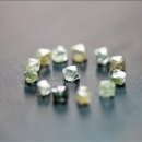 씨엔케이인터내셔널 이미지