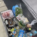 와이글램핑 | {아산} 글램핑 | ‘와이 글램핑’ 후기 / 장단점