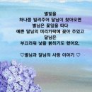 별님과달님 이미지