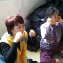 대보2리 경로당 이미지