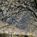 정통집울산대점 이미지
