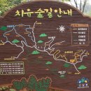 나무숲소 이미지