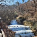 남산공원길2 | 설 연휴 남산 나들이 | 남산 북측 숲길, N서울타워 전망대, 남산둘레길, 남산공원