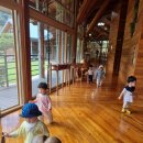 🪵좋아해~~봉화목재문화체험장 나들이 이미지