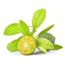 주야편의점 이미지