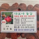 다모아농장 이미지