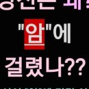 당신은 왜 이미지