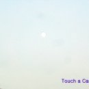 김명자낙지마당 이미지