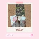 더뉴본 | 글루타치온 찾다가 고른 뉴벨라, 매일 챙겨 본 솔직후기