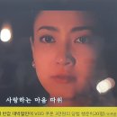 (주)딜라이브 이미지