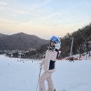 용인대 명인 태권도 이미지