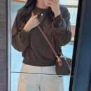 셀린느 보스턴백 스몰 후기, 데일리 명품 가방 미니백 추천 이너백 정보