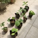 청양한의원 이미지