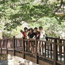 남설악의 비경, 주전골 오색약수~용소폭포 풍경 이미지