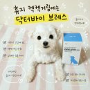 브레스 | 강아지 기관지 영양제 닥터바이 브레스 3.0 후기, 강아지 켁켁거림 관리 방법