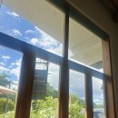 Cafe공감 | [필리핀 보홀 Bohol 여행] - "나무카페 NAMOO Cafe" 솔직 후기