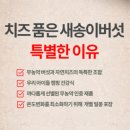 금복축산 | [후기/송이] 금복상회 치품송, 버섯요리추천, 아이들건강간식 치즈새송이