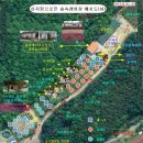 용인랜드 숲속캠핑장 이미지