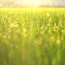 물의 기억 이미지