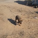 전주팔봉콩나물국밥(서부점) | [공지] 이어지도록 EP.6 거창한 외출