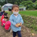 야호농장 이미지