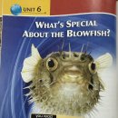 UNIT 6. What’s Special About The Blowfish? 이미지